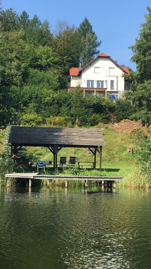 Villa The Dutchman Brodnica Dolna Exteriör bild