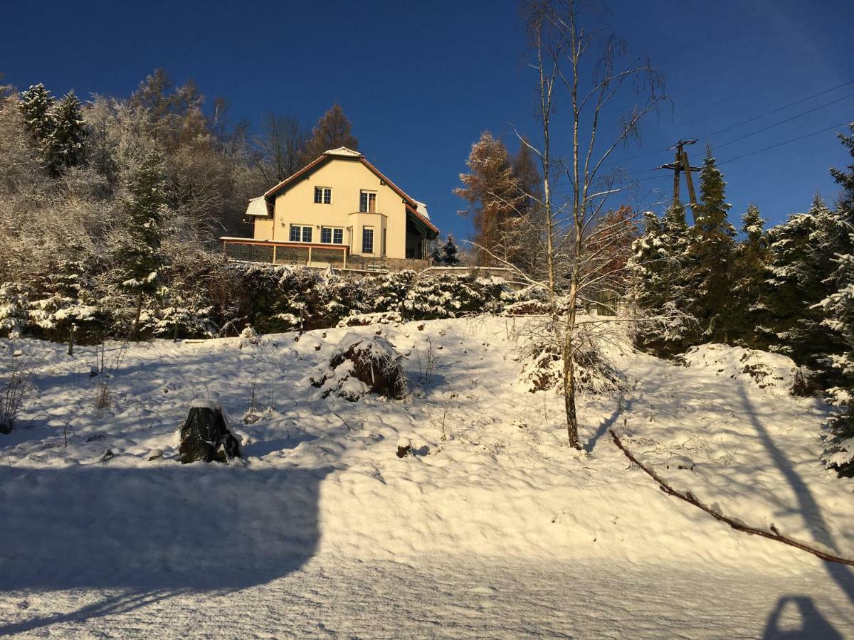 Villa The Dutchman Brodnica Dolna Exteriör bild